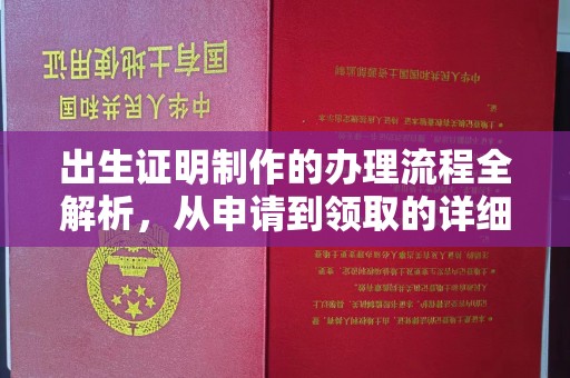 湖南出生证明制作的办理流程全解析，从申请到领取的详细指南